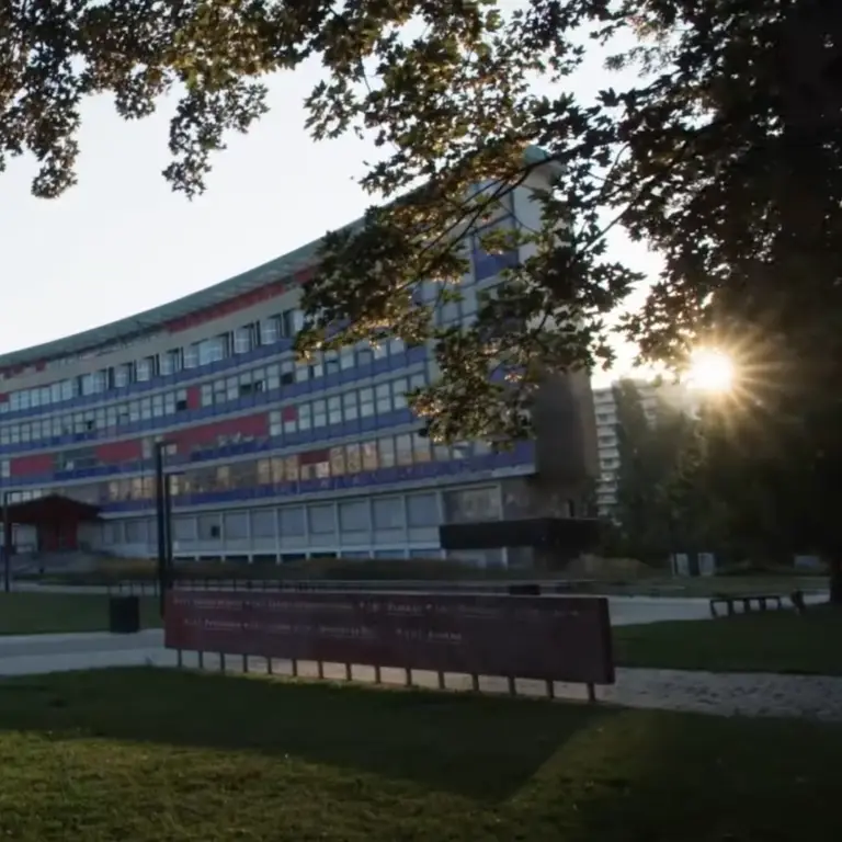 Blog Raquel Brun 2, Fondation Universités et Hôpitaux Universitaires de Strasbourg
