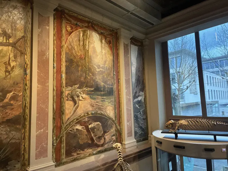 Fresque zoo, photo par Maud Lieb, Fondation Universités et Hôpitaux Universitaires de Strasbourg