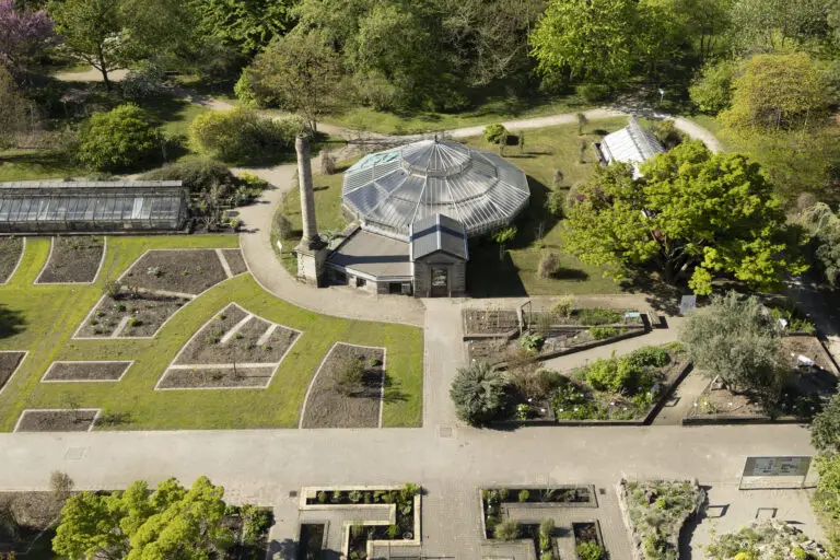 Jardin botanique au printemps, Fondation Universités et Hôpitaux Universitaires de Strasbourg